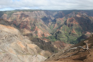 de Grand Canyon van de Stille Oceaan | Waimea Canyon